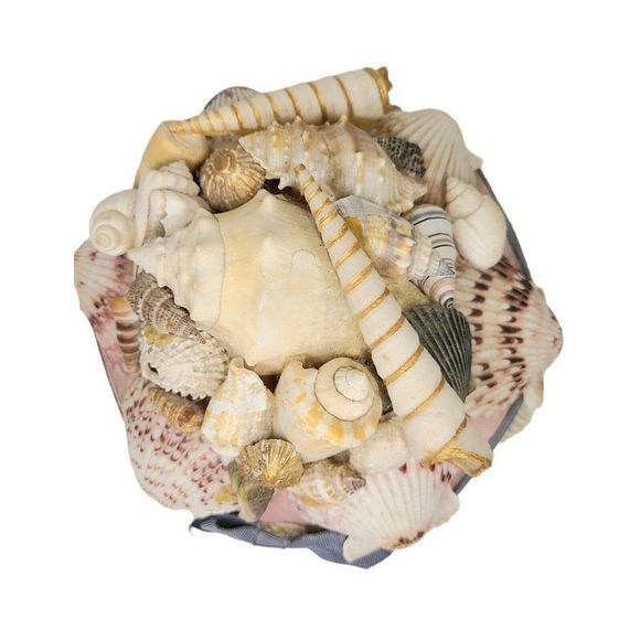 Vtg handmade Shell covered beach Wicker Woven Lace trim Stash Box Basket 6" - Picture 3 of 9